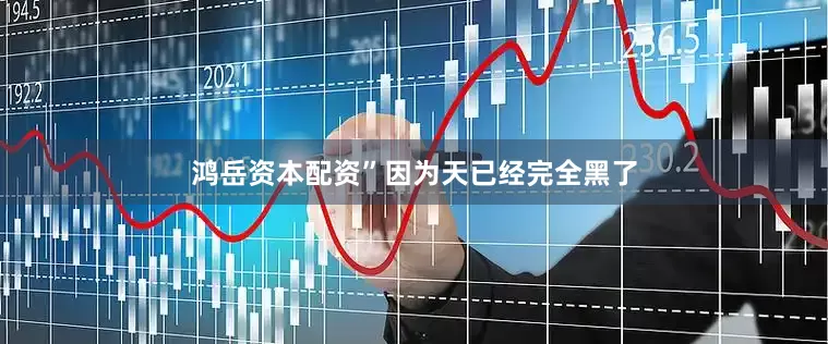 鸿岳资本配资”因为天已经完全黑了