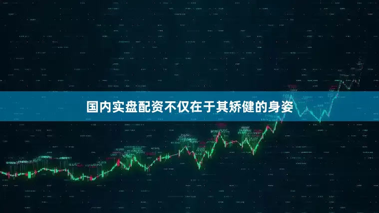国内实盘配资不仅在于其矫健的身姿