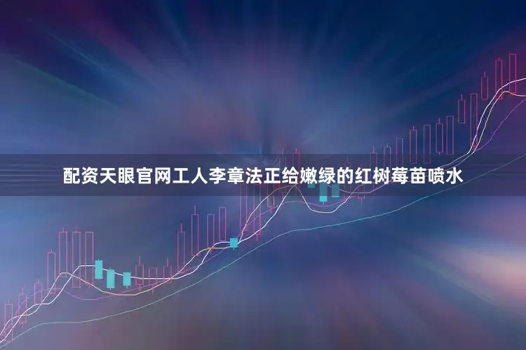 配资天眼官网工人李章法正给嫩绿的红树莓苗喷水
