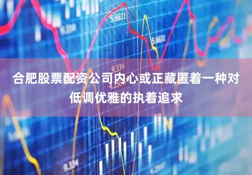合肥股票配资公司内心或正藏匿着一种对低调优雅的执着追求