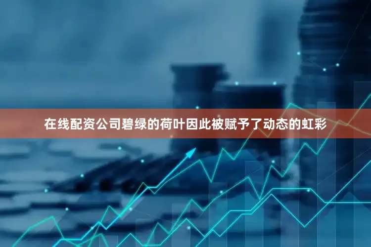 在线配资公司碧绿的荷叶因此被赋予了动态的虹彩